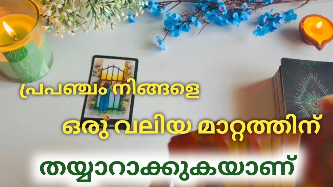 The Universe Is Preparing You for a Major Life Change!Tarot Reading Malayalam ✨🌿✨