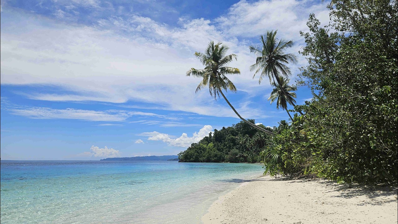 Wonderful Banngai Laut, Part 2: Banggai Island, Central Sulawesi, Indonesia.
