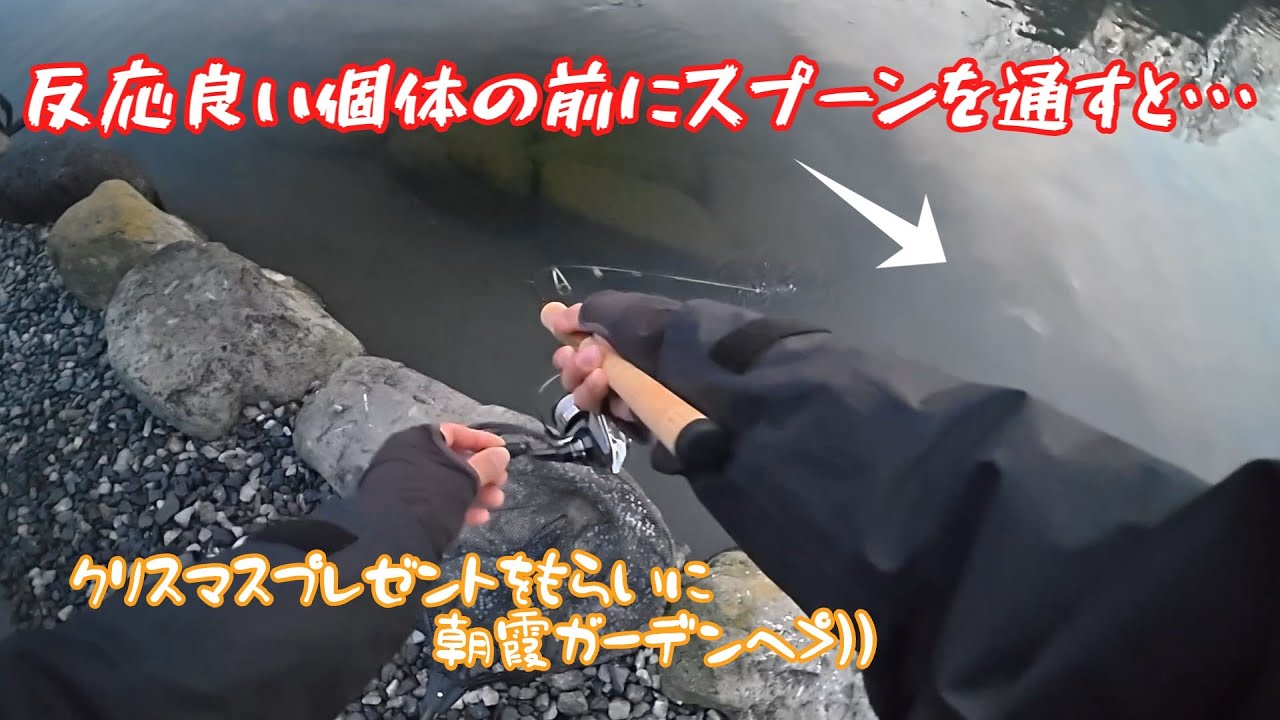 【朝霞ガーデン】クリスマスの朝霞ガーデンてどうなの？【エリアトラウト】