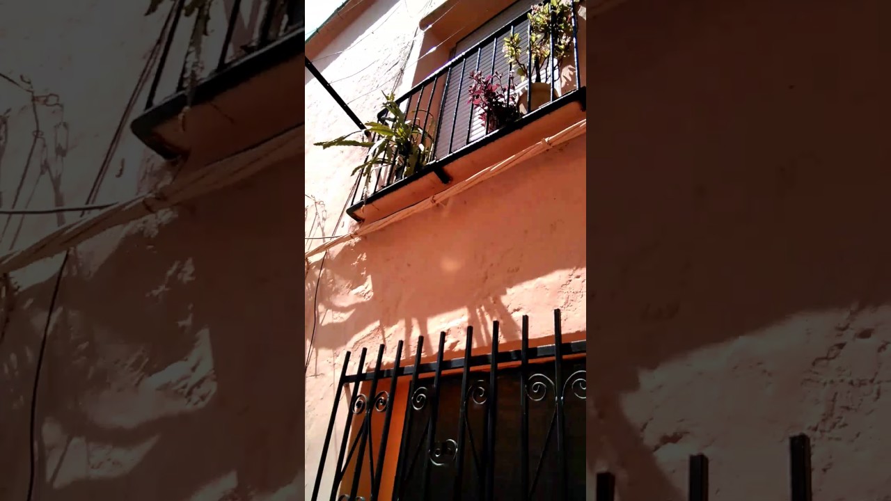 Bocairent. L'acapte de Sant Agustí 2017