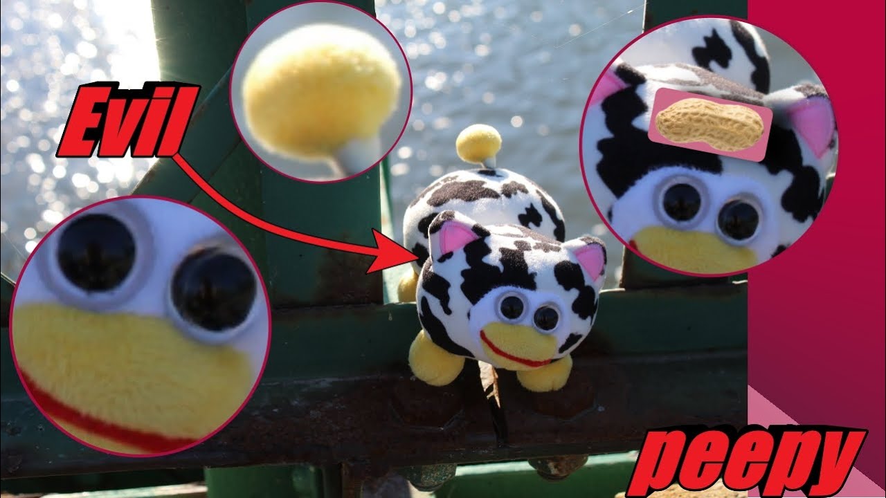What is Peepy? What do they have to do with Sucklet?