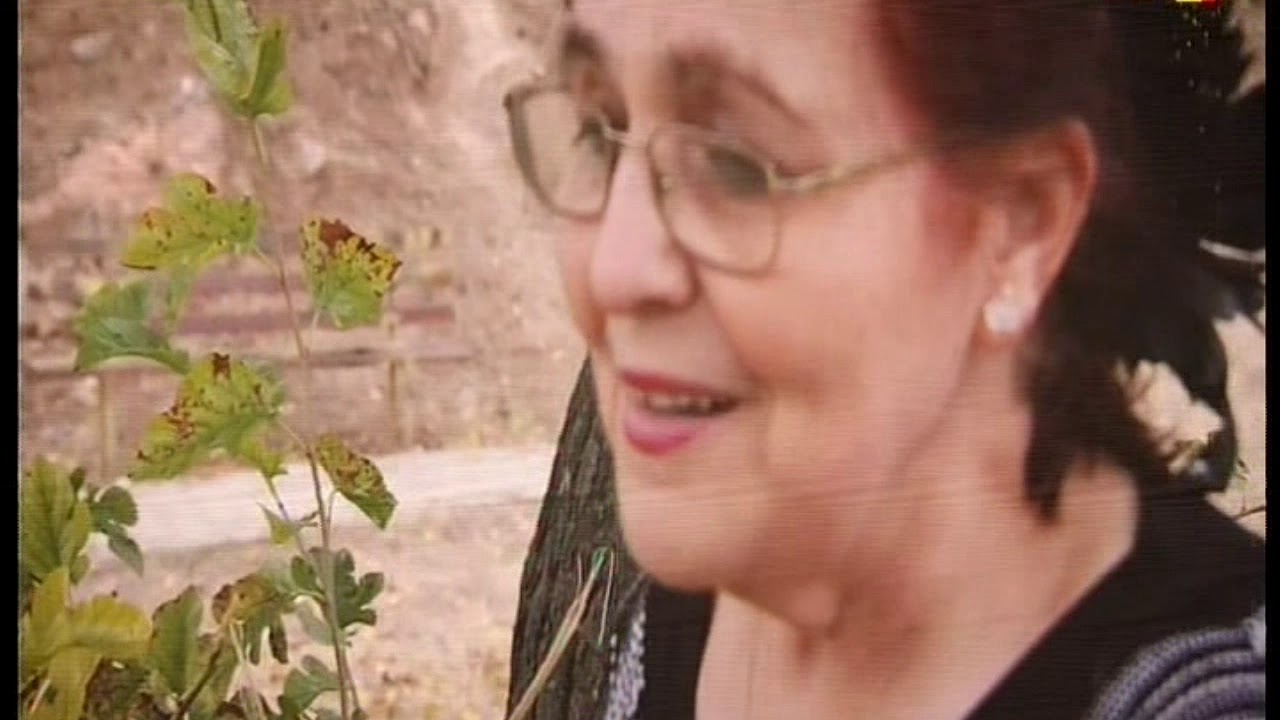 Margica Antevska - Pejaci i pesni