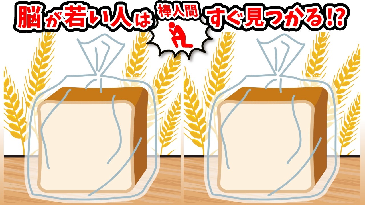◤◢◤◢間違い探しと棒人間探しでアハ体験◤◢◤◢【記憶力強化】(復習編)1649