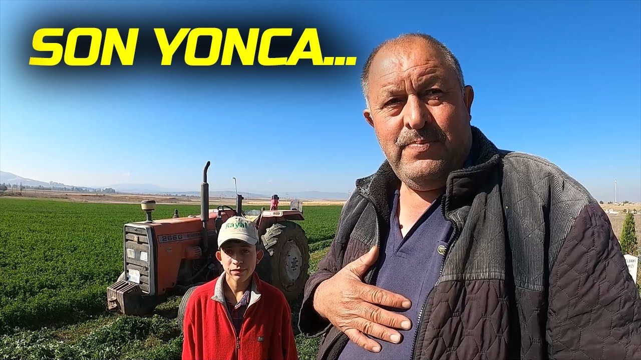 YILIN SON YONCASINI BİÇTİK. DANELİK MISIR TARLASINDAN BORULARI TOPLUYORUZ.