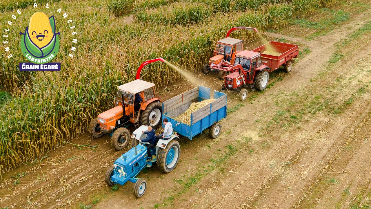 Ensilage à l'Ancienne du Labyrinthe Le Grain Égaré
