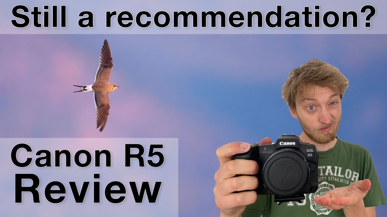 Canon’s best camera for bird photographers? Canon R5 review (after 2 years)