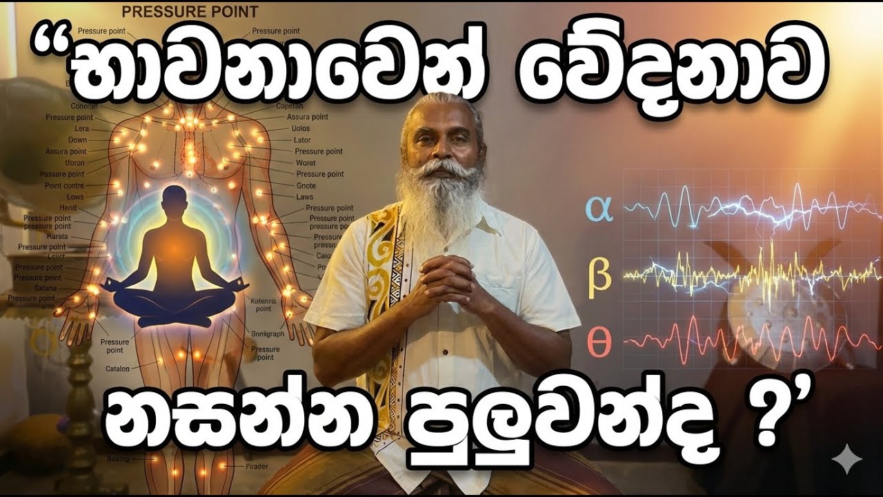 භාවනාවෙන් වේදනාව මැඩ පැවැත්විය හැකිද ? | හටනේ විද්‍යාව 02 @ඌවපාරම්පරිකහටන් @nizz_in_action