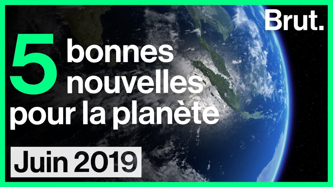 5 bonnes nouvelles pour la planète