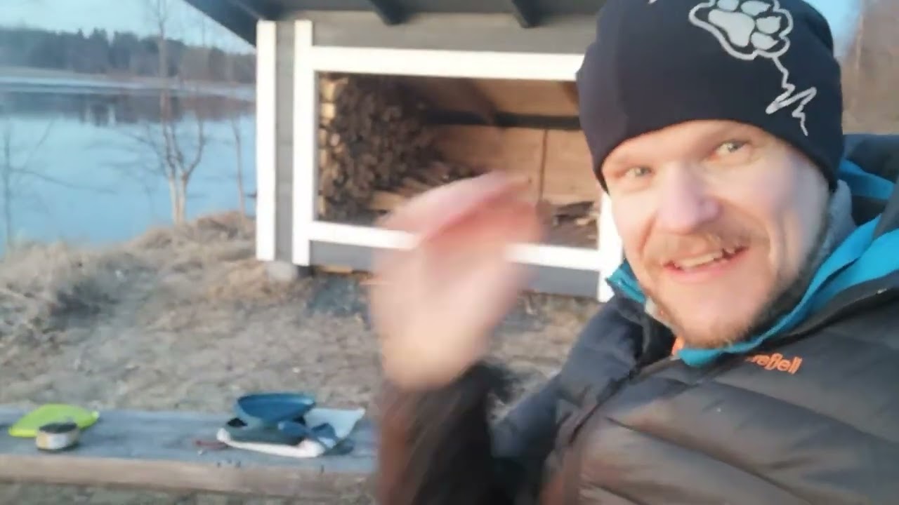Revontulia kurjenrannassa