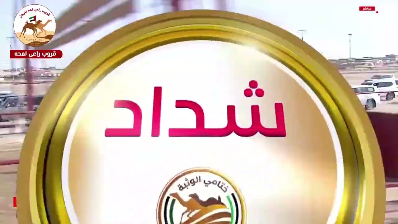 ش4 ( شداد الايذاع مهجنات انتاج )اشقر لـ احمد بن علي سلطان السبوسي 8:56:39( ختامي الوثبة 2026 )