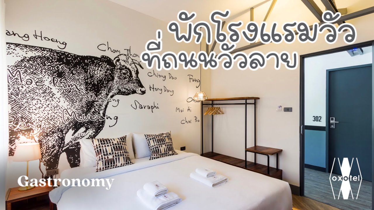 พาชมโรงแรมขนาดเล็ก เจ้าของรางวัลด้านการออกแบบ Oxotel | Hotel Chiangmai | โรงแรมเชียงใหม่