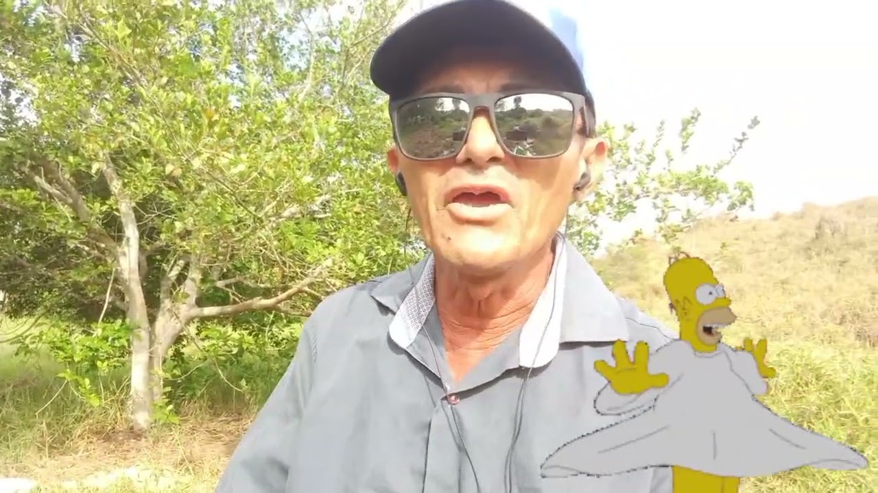 1 de fevereiro de 2026