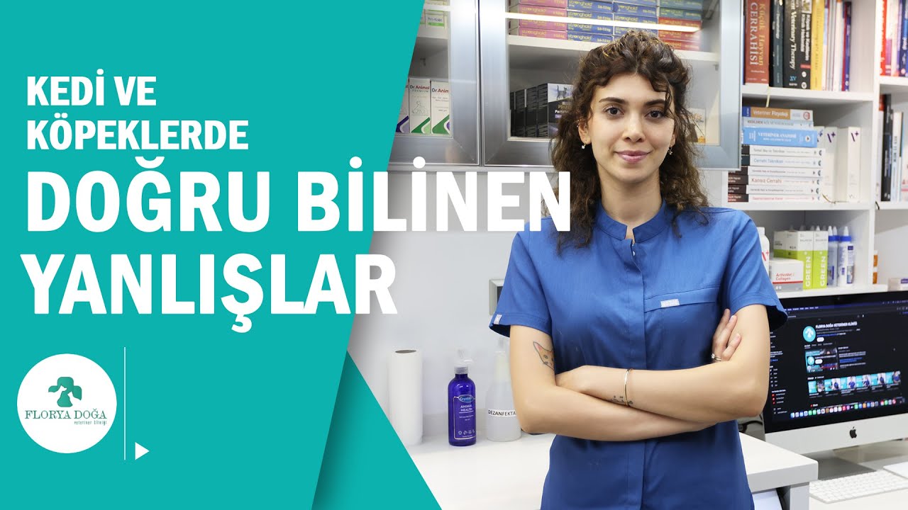 Evcil Hayvanlarımızla İlgili YANLIŞ Bilinen GERÇEKLER!