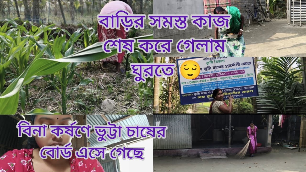 বিনা কর্ষণে ভুট্টা চাষের বোর্ড চলে এসেছে আজকে। বাড়ির কাজ শেষ করে গেলাম ঘুরতে। ❤️#dailyvlog 