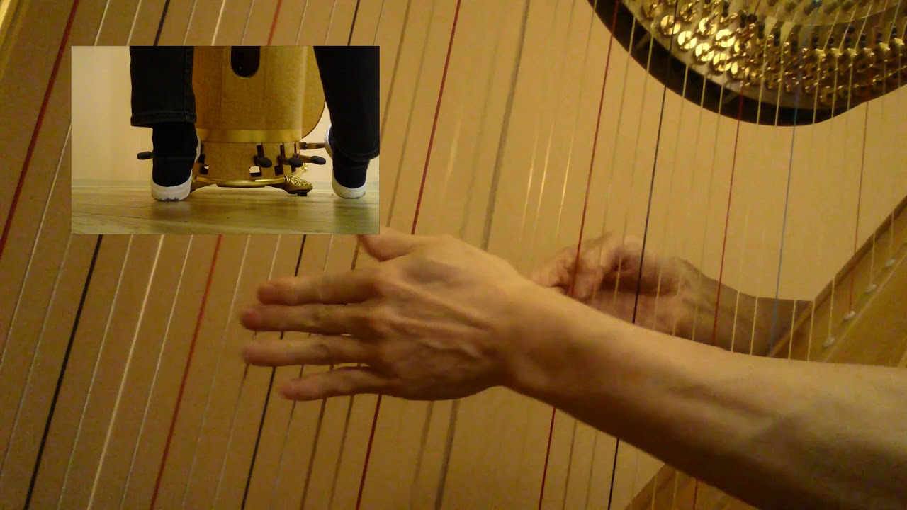 Summertime / harp solo by Tomoyuki Asakawa