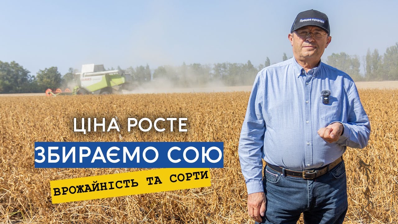 Ціна на сою росте — дають 21000. Закінчуємо обмолот, врожайність та огляд сортів.