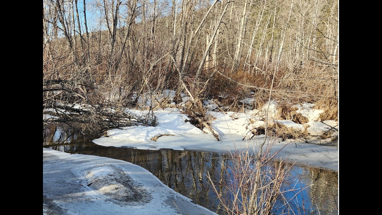 A winter lake beach experience
