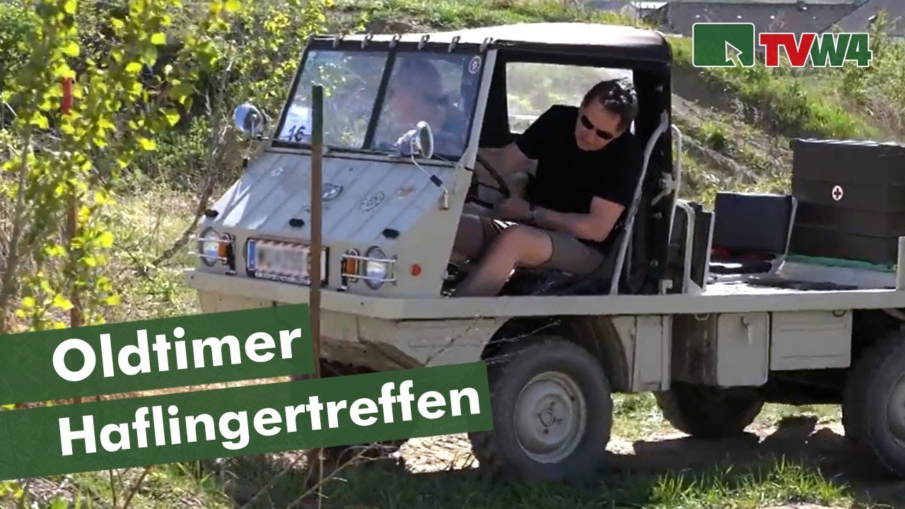 Haflingertreffen 2015
