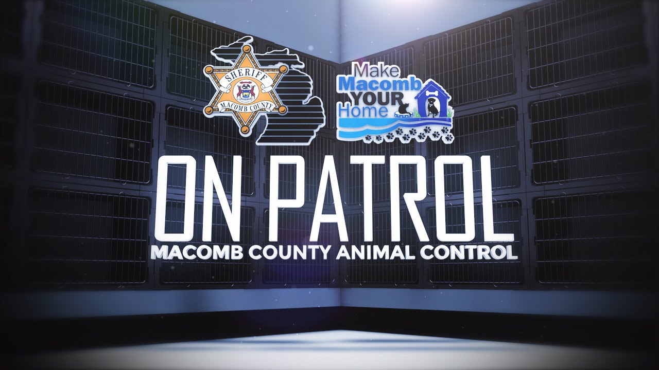 On Patrol with the Macomb County Animal Control - July 2015