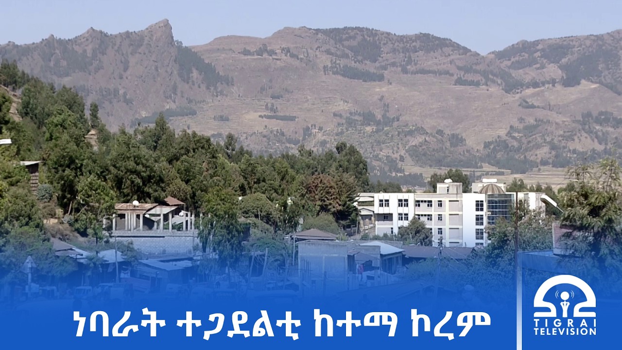 ለካቲት 11 ሃገር ብሕገ መንግስቲ ክትመሓደር ዝገበረት እያ፡- ነባራት ተጋደልቲ ከተማ ኮረም