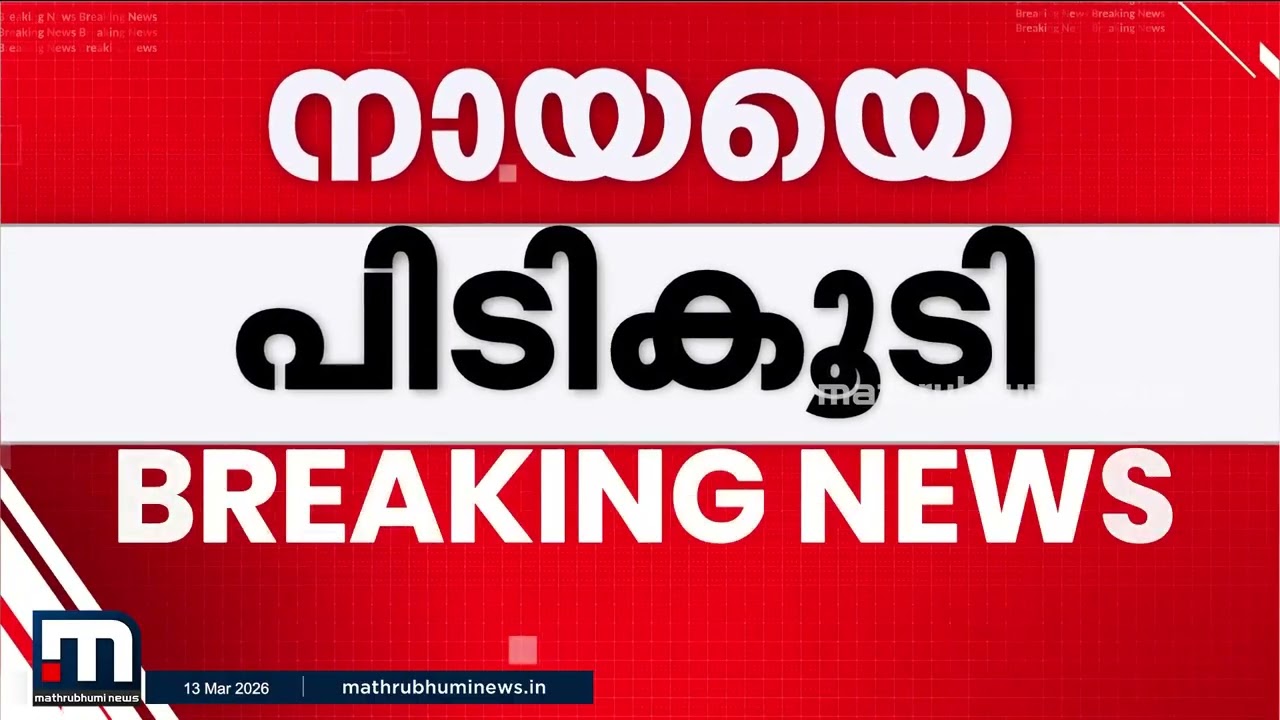 തൃശൂരില്‍ വയോധികയെ കടിച്ചുകൊന്ന നായയെ പിടികൂടി | Stray Dog | Thrissur