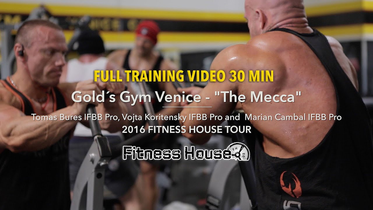 Golds Gym Venice 