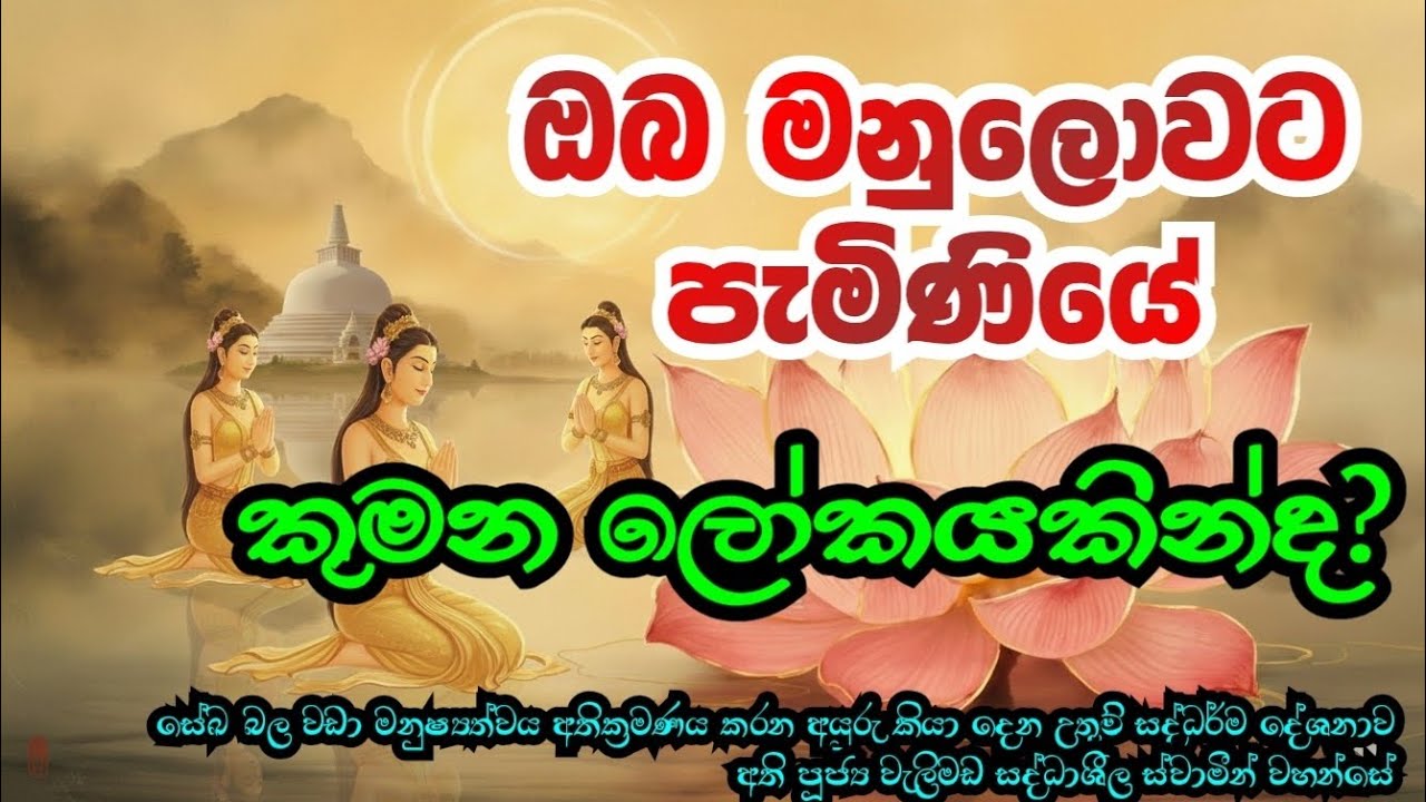 මනුෂ්‍යත්වය ඉක්මවා යන ආකාරය | Ven. Welimada Saddashila Thero
