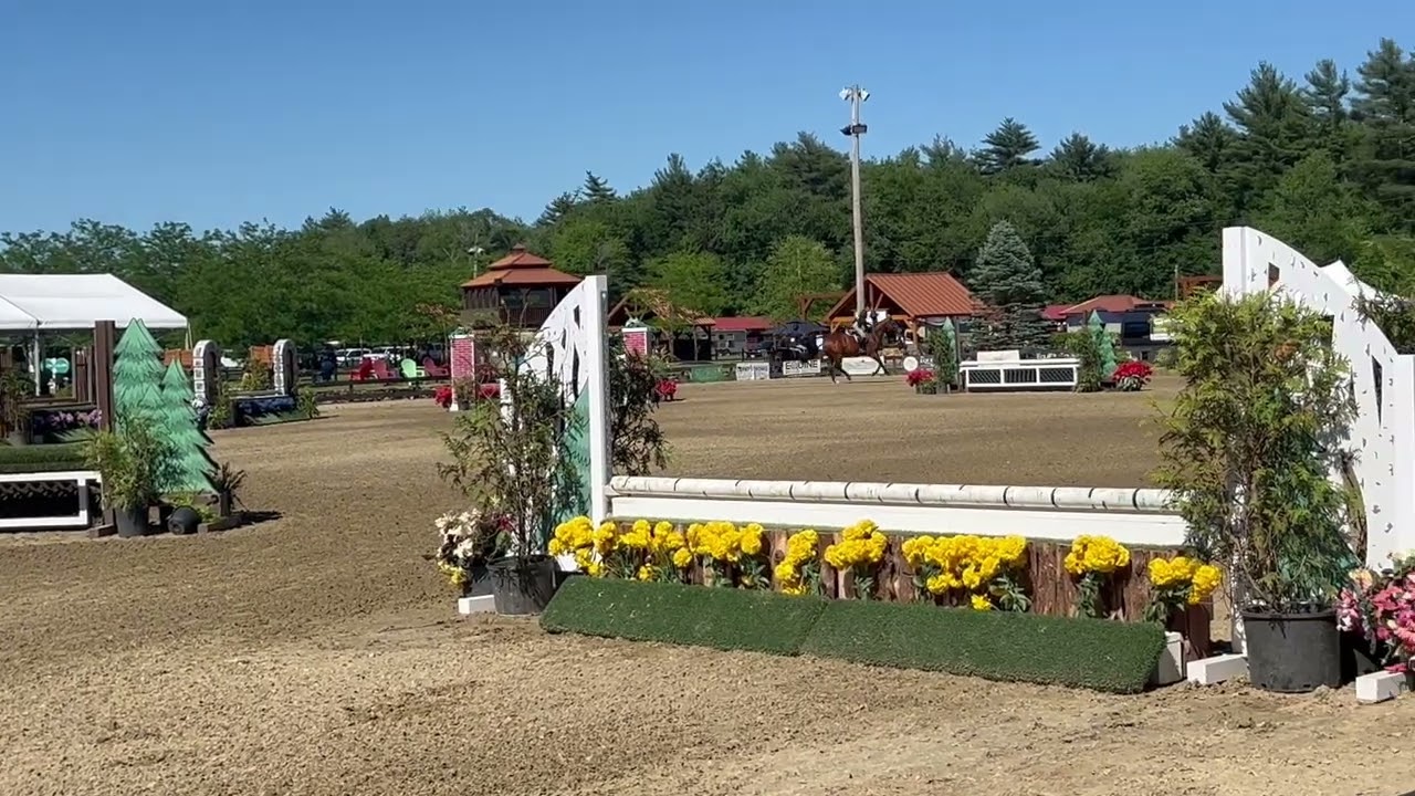 CMS Chemistry - 2&rsquo;6 Derby