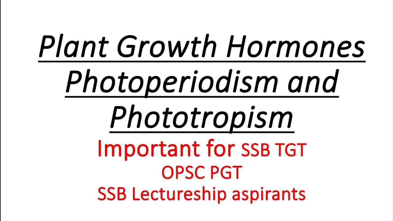 Plant Growth Hormones, Photoperiodism and Phototropism for SSB TGT, Lectureship OPSC PGT Aspirants