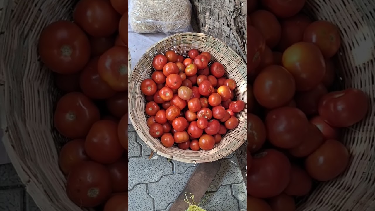 Namma oor nonpu kanchi