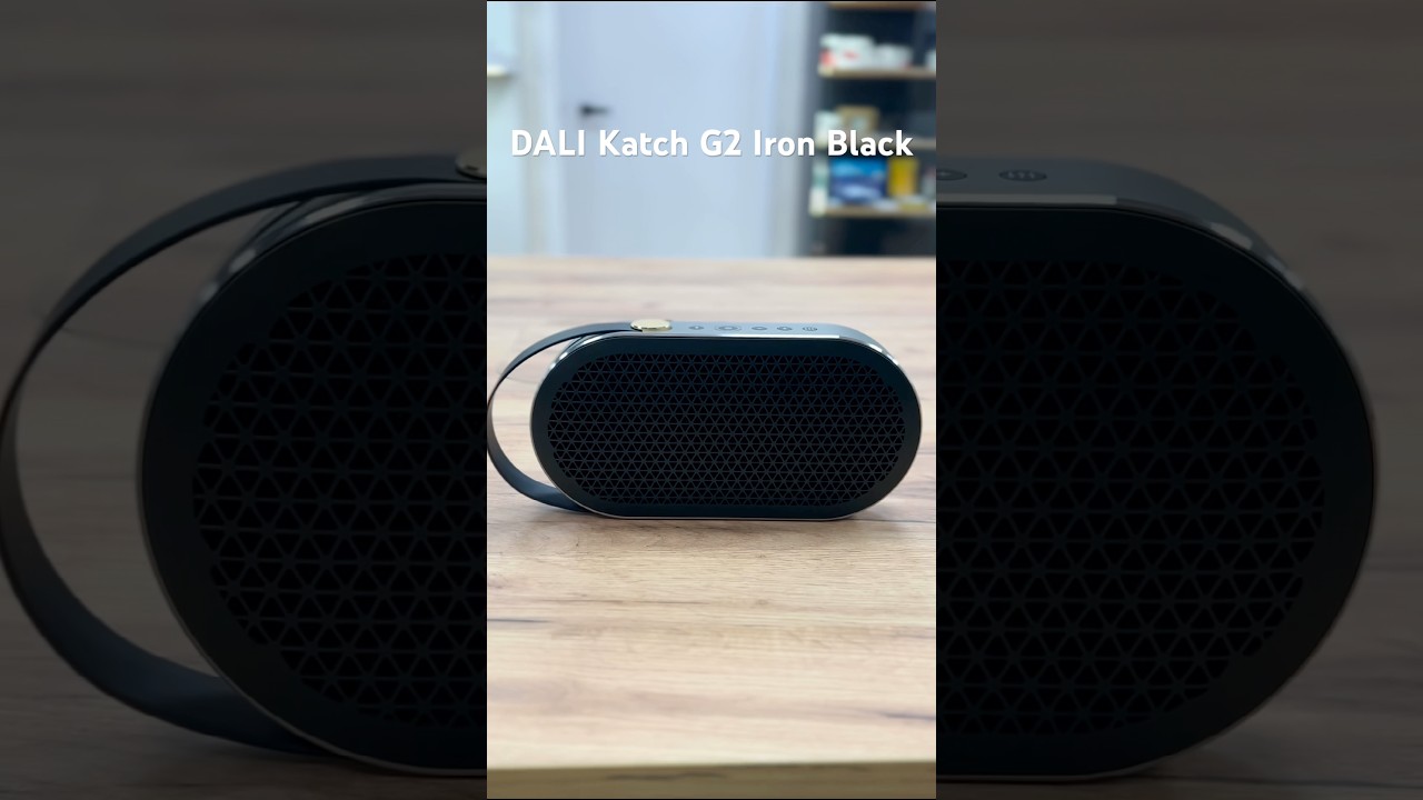 DALI Katch G2 Iron Black