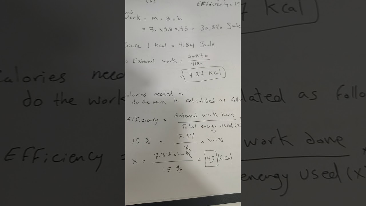 Energy, work and power of the body (المسائل)(النهرين)