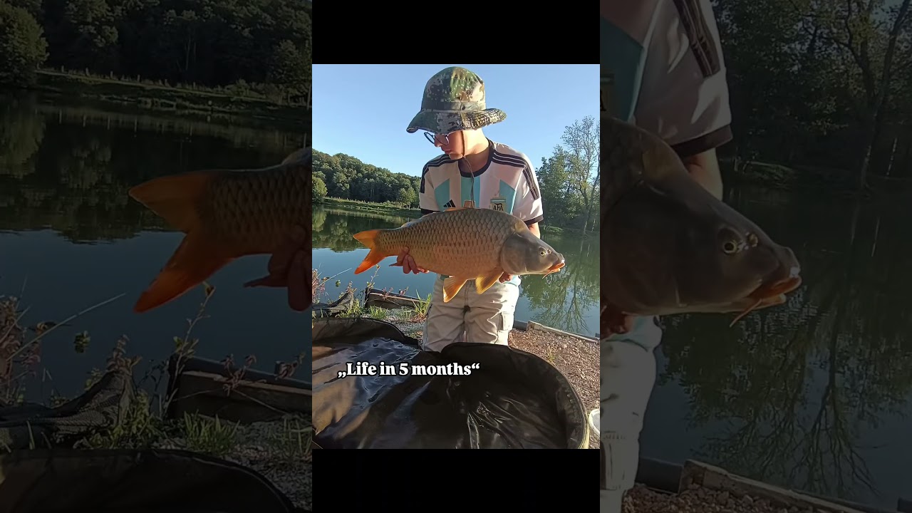 #Lilian.Peche_#carpiste#france#fishing#