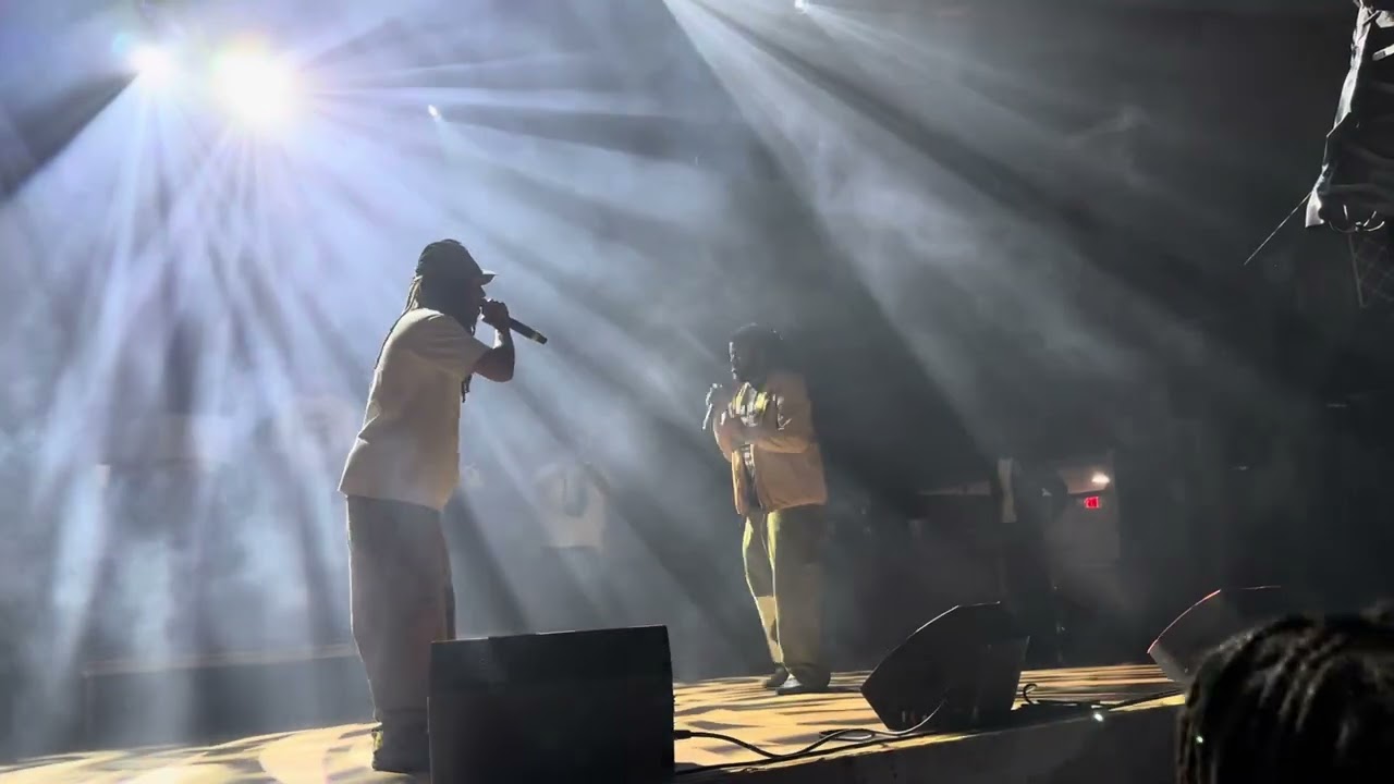 Earl Sweatshirt & The Alchemist - Sentry (with MIKE) (VOIR DIRE Tour Live Performance)