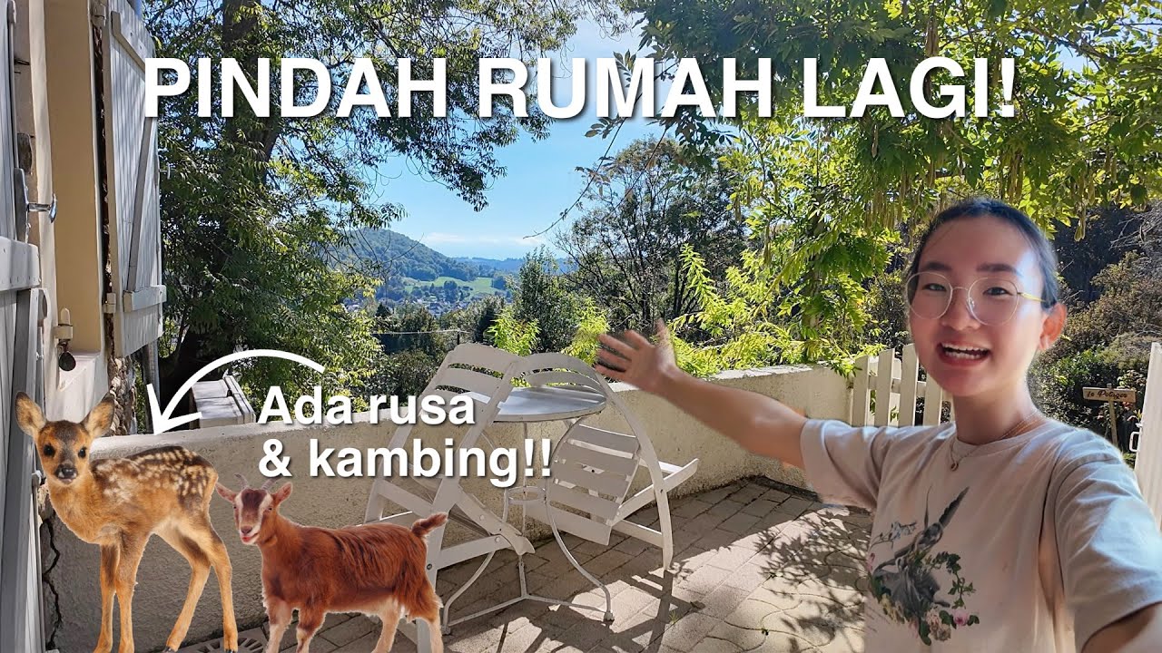 RUMAH BARU LAGI! ADA HUTAN PRIBADI, RUSA & KAMBING!
