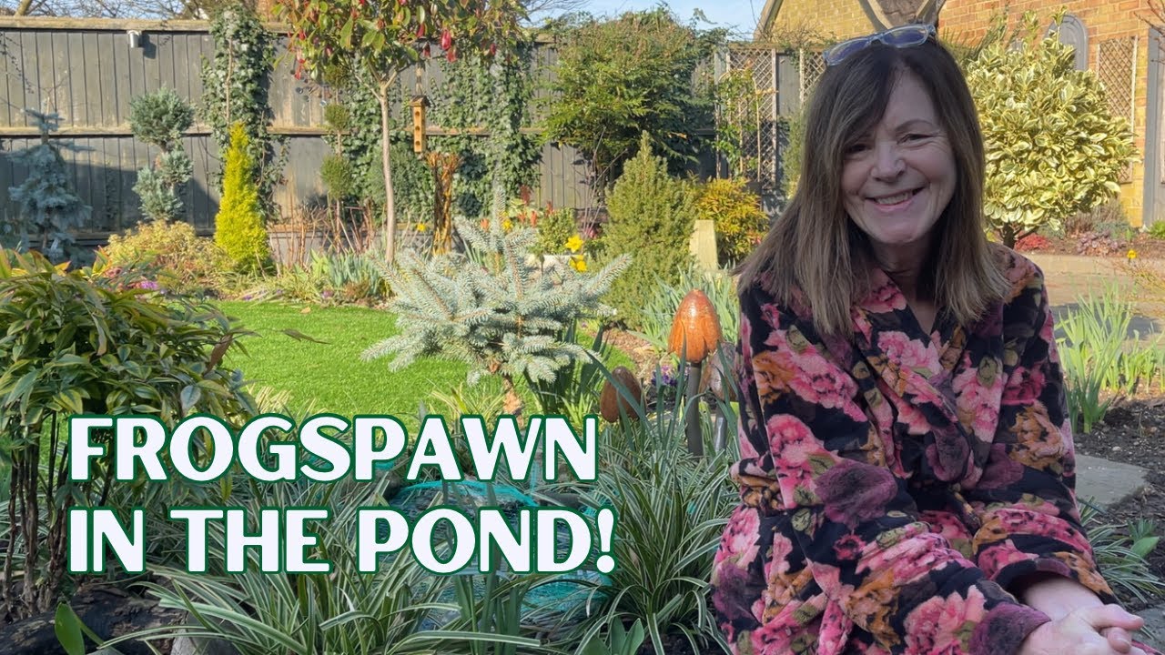 Great Garden Excitement … We Have Frogspawn!! 🐸
