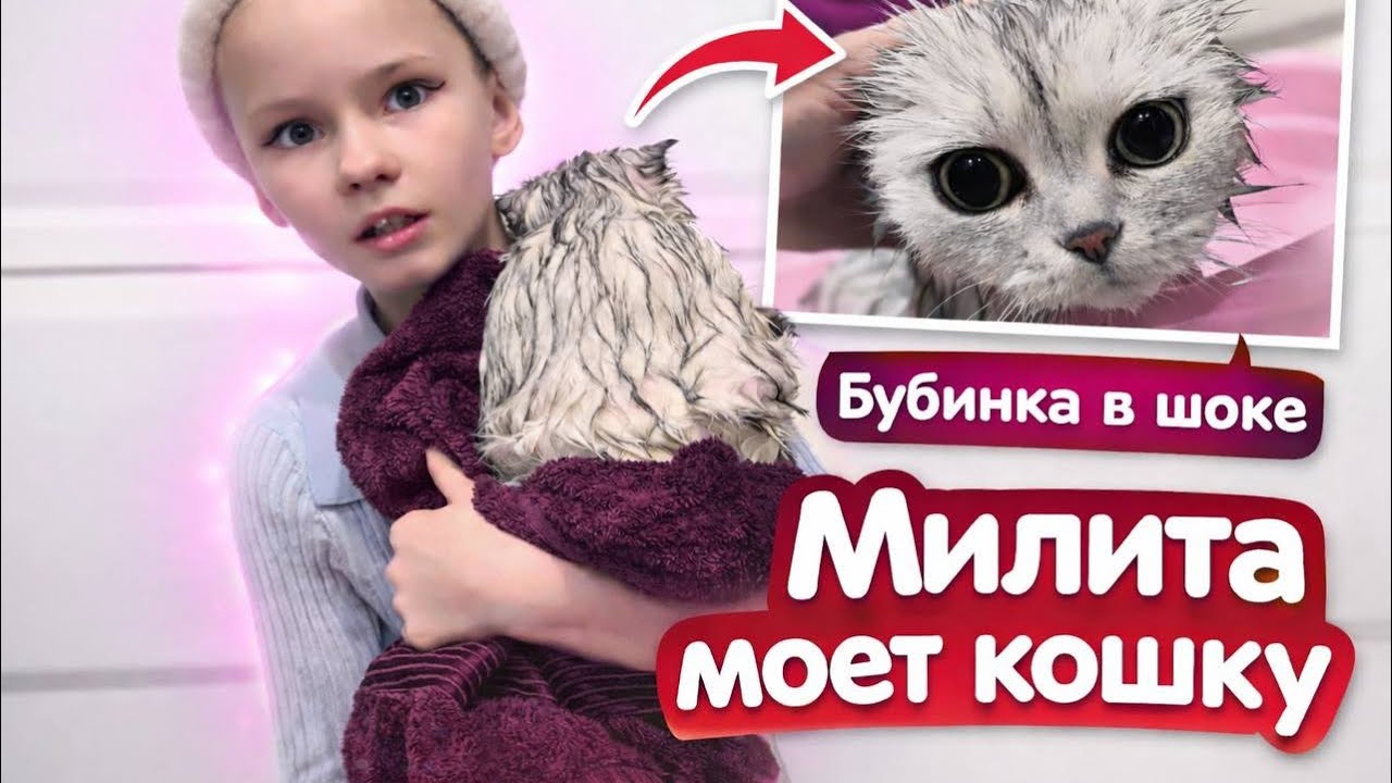 Милита моет кошку 😱🐈