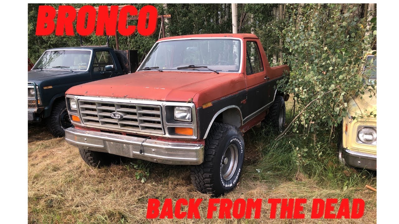 1985 ford bronco revival