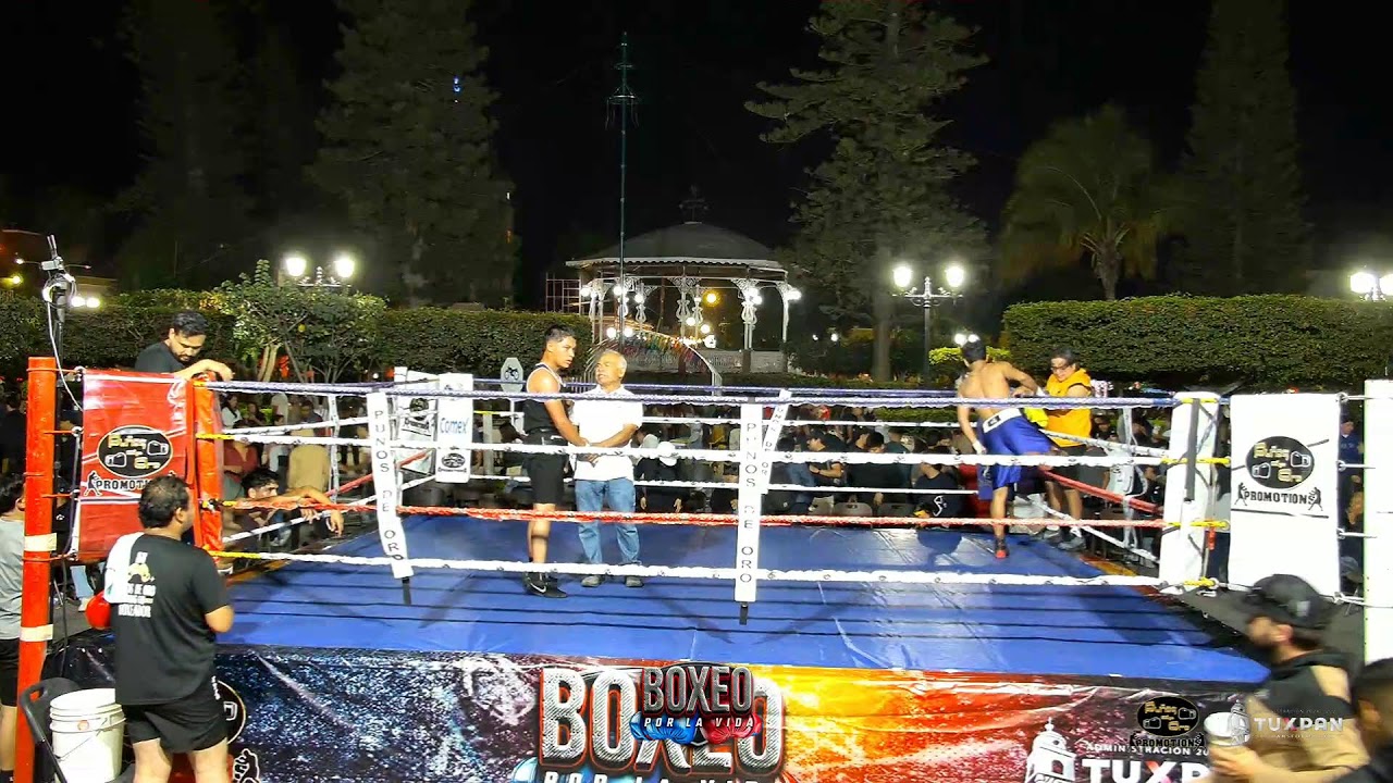 boxeo x la vida
