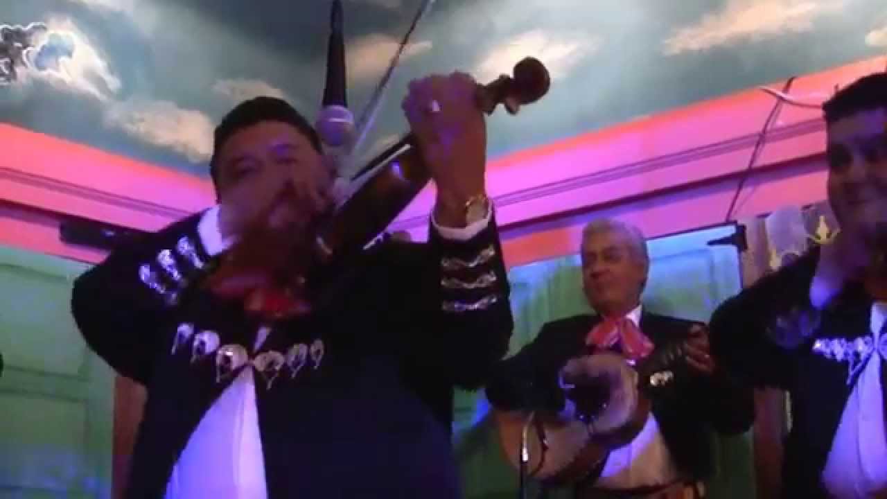 08-08-14 Mariachi Tierra Querida de Ismael Hernandez
