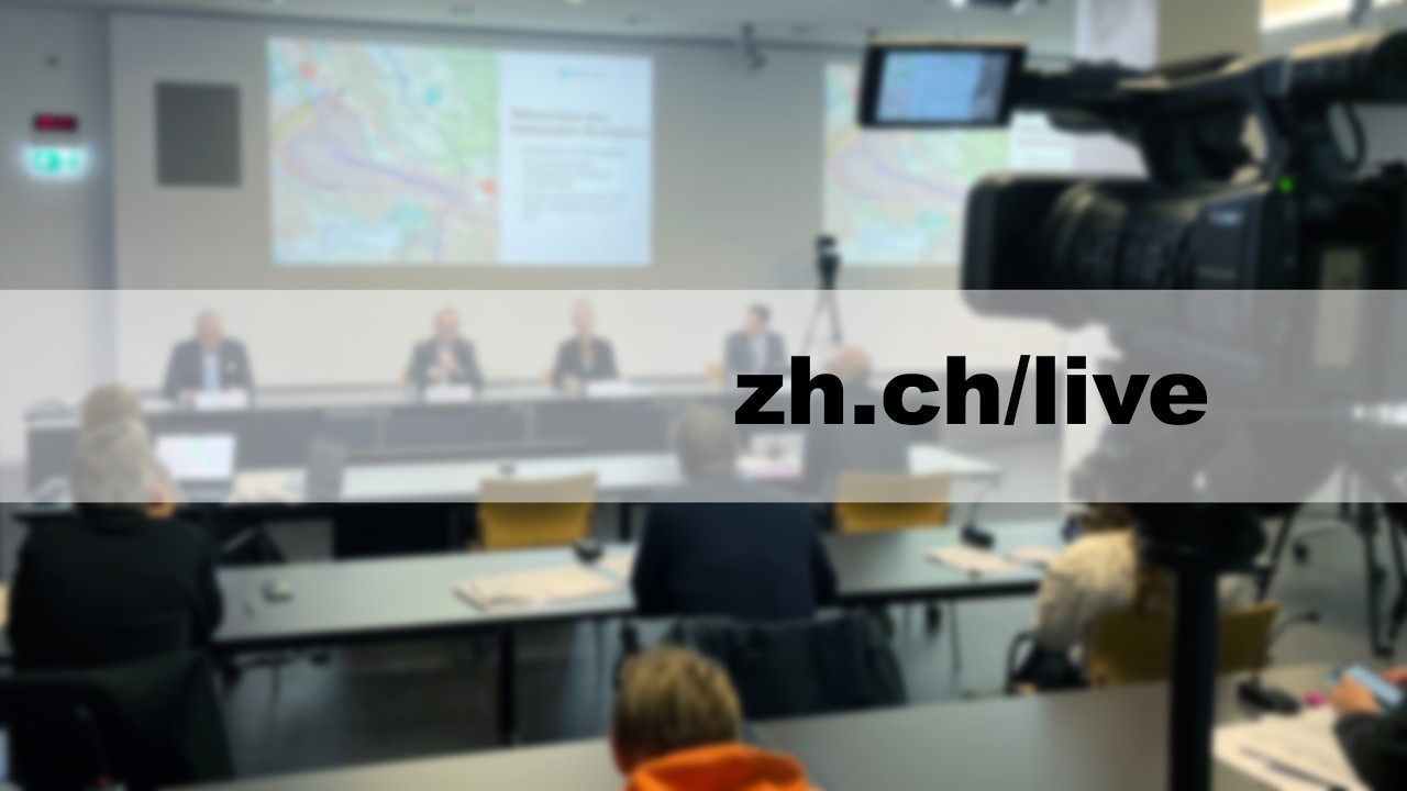 Gebärdensprache Verkehrsunfallstatistik 2025 des Kantons Zürich und der Städte Zürich und Winterthur