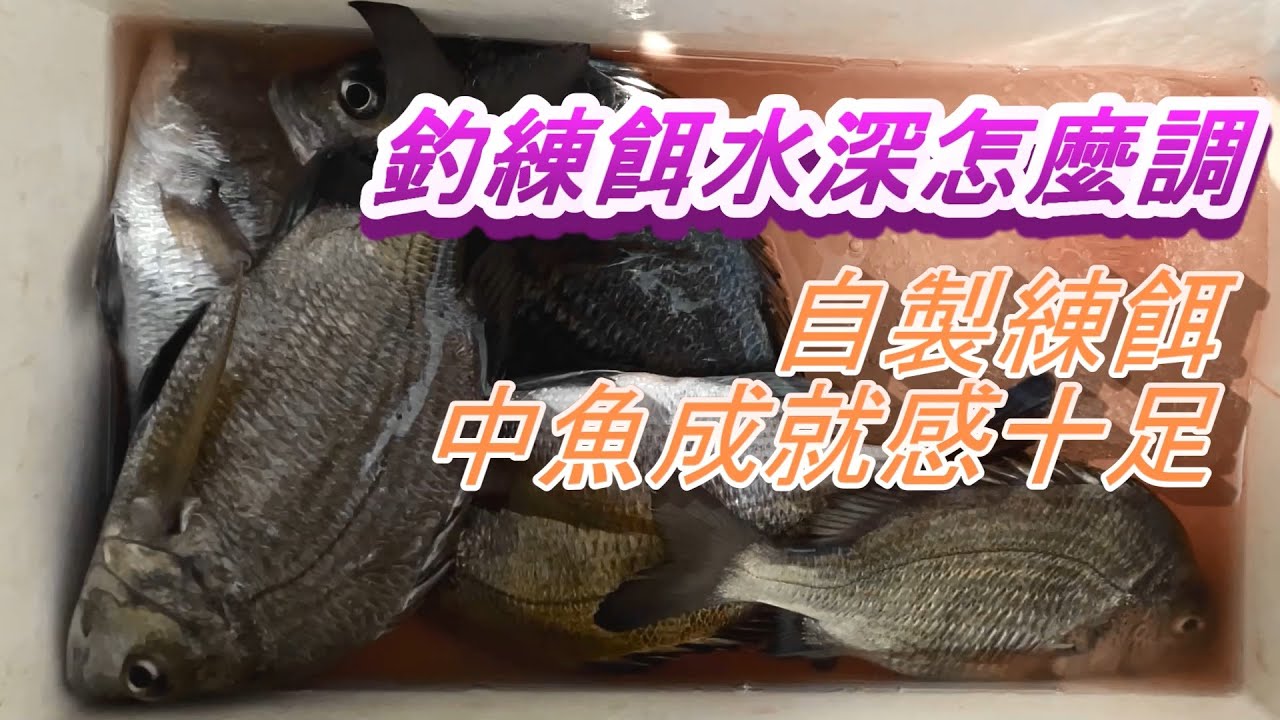 釣練餌水深該怎麼調呢?個人經驗僅供參考，自製練餌中魚成就感十足