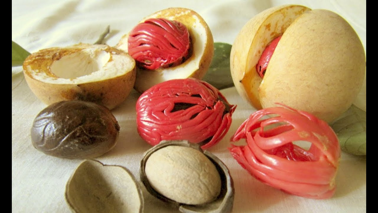 Мускатный орех и цвет