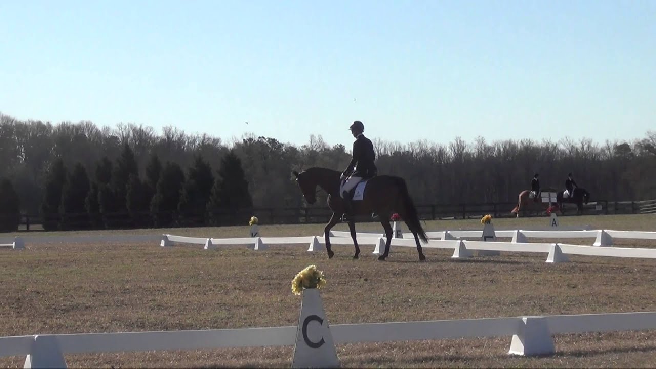 2014 - Chubba - Full Gallop