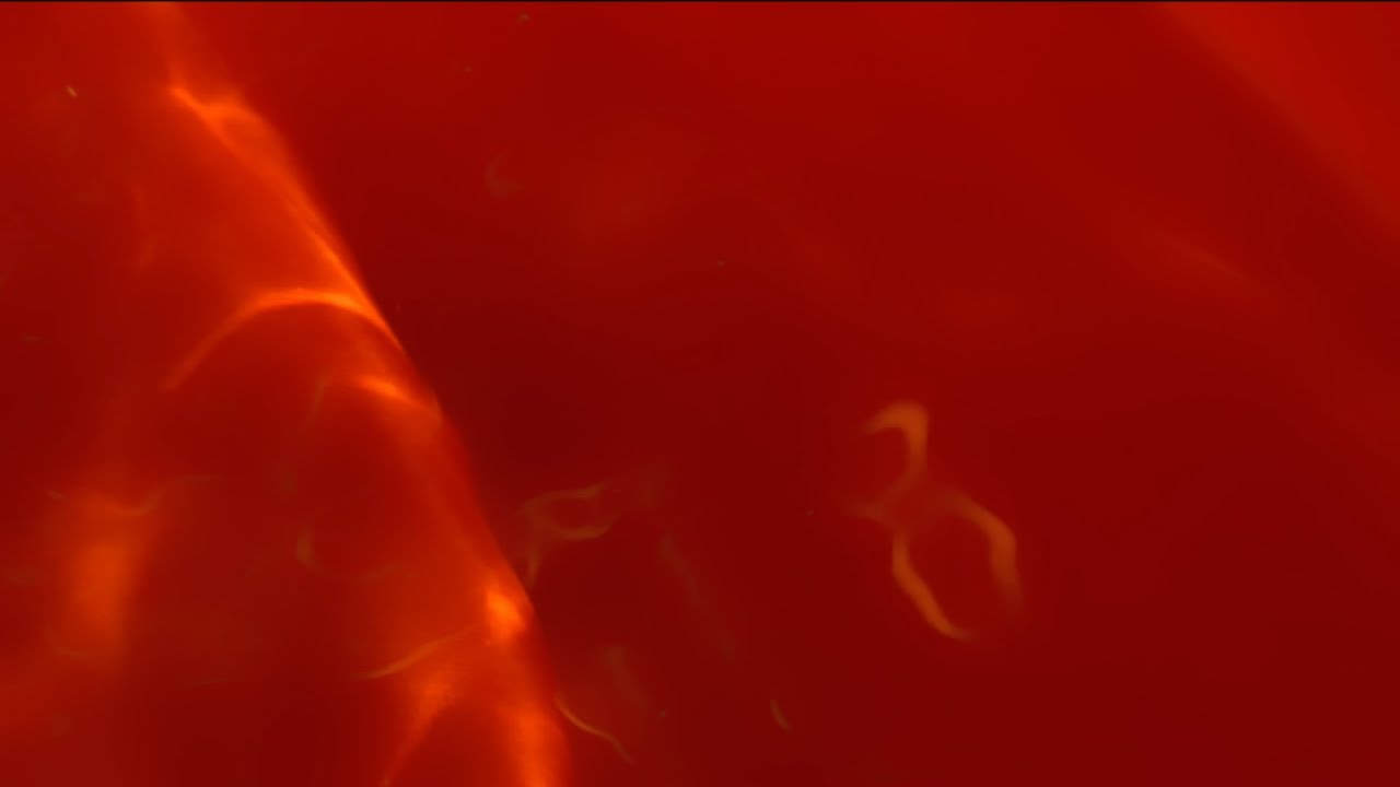 Womb Ambience | Deep Safe Sounds, Heartbeat, Warm Calm (6 Hours)