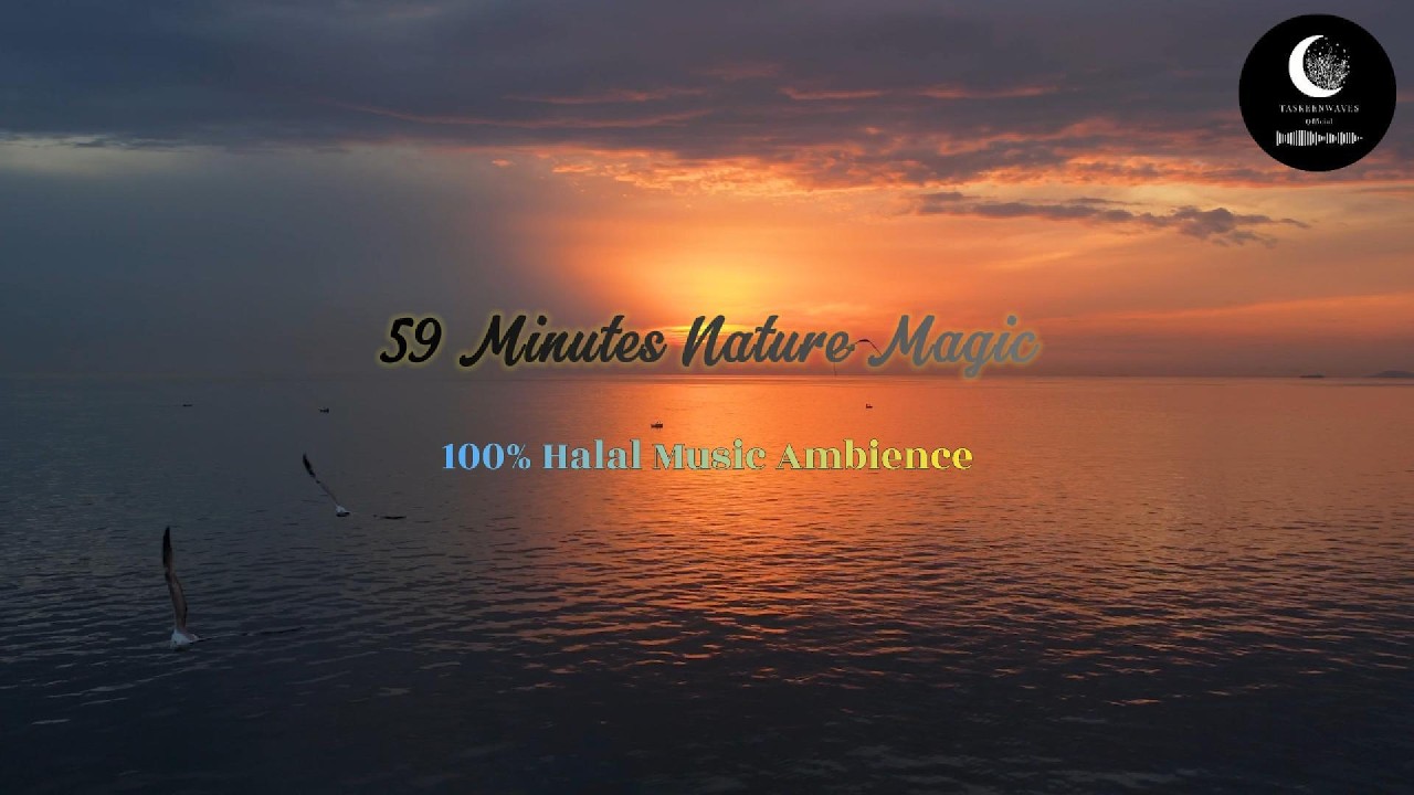 1 Hour Halal Mind Relaxing Sounds with Birds 🌿| Peaceful Nature Ambience | Stress Relief & Deep Calm