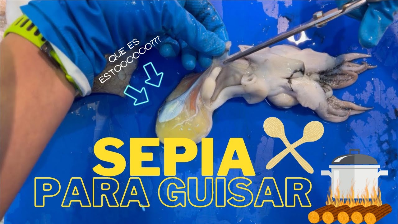 SEPIA PARA GUISAR CON PATATAS TE VA A GUSTAR