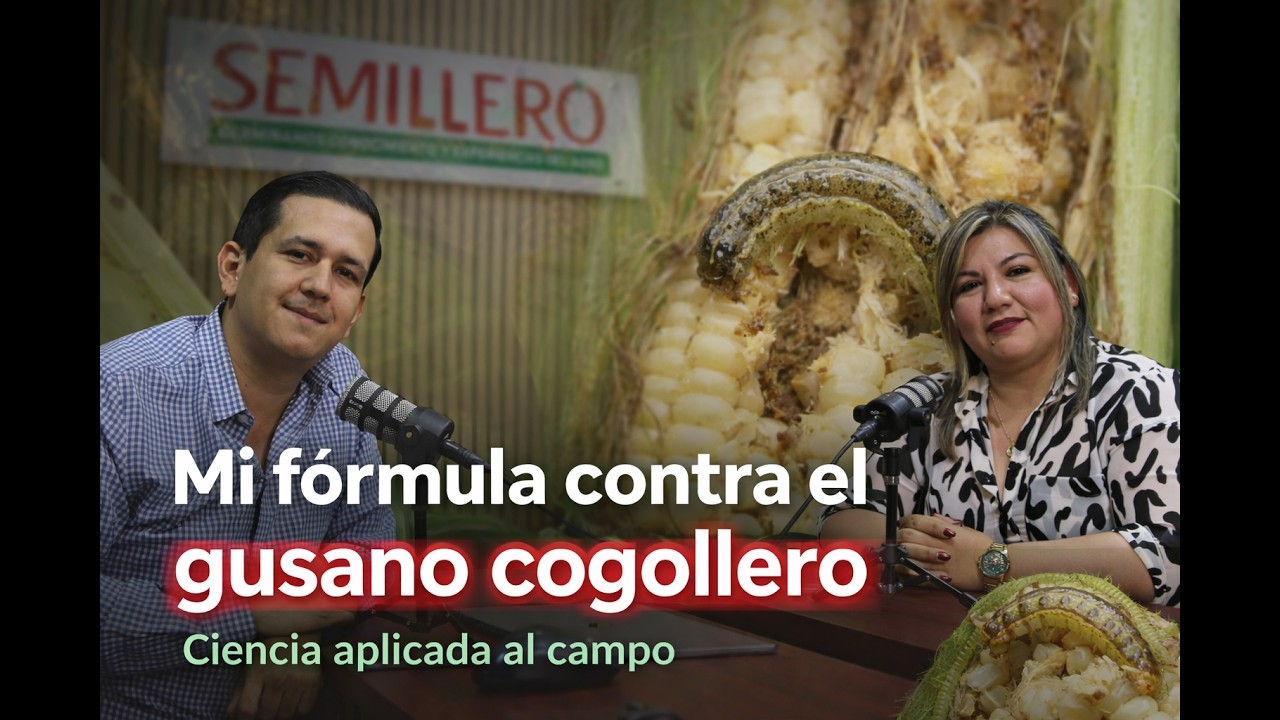 #103 Mi fórmula contra el gusano cogollero | Iliana Vega