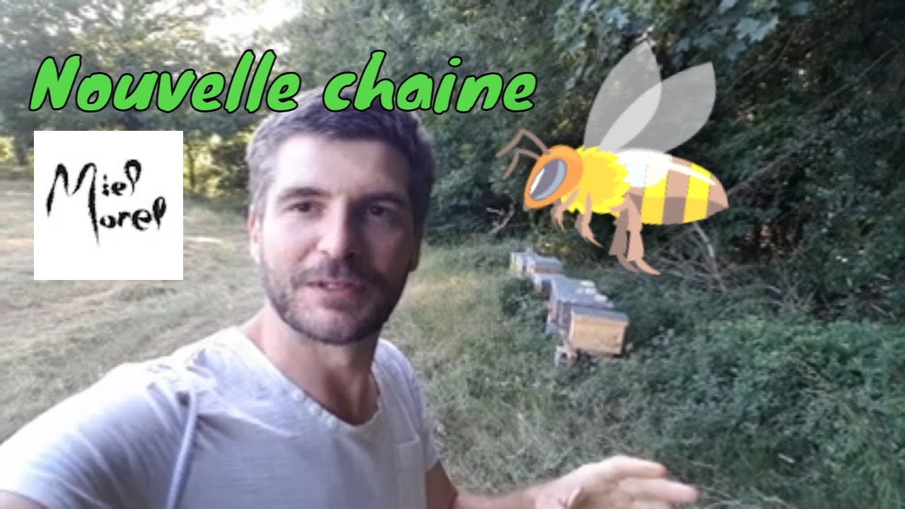 La chaine apiculture miel MOREL
