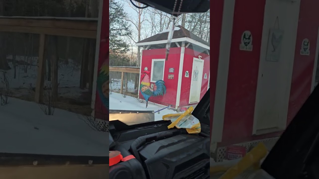 Riding the buggy in the freezing cold to the coop